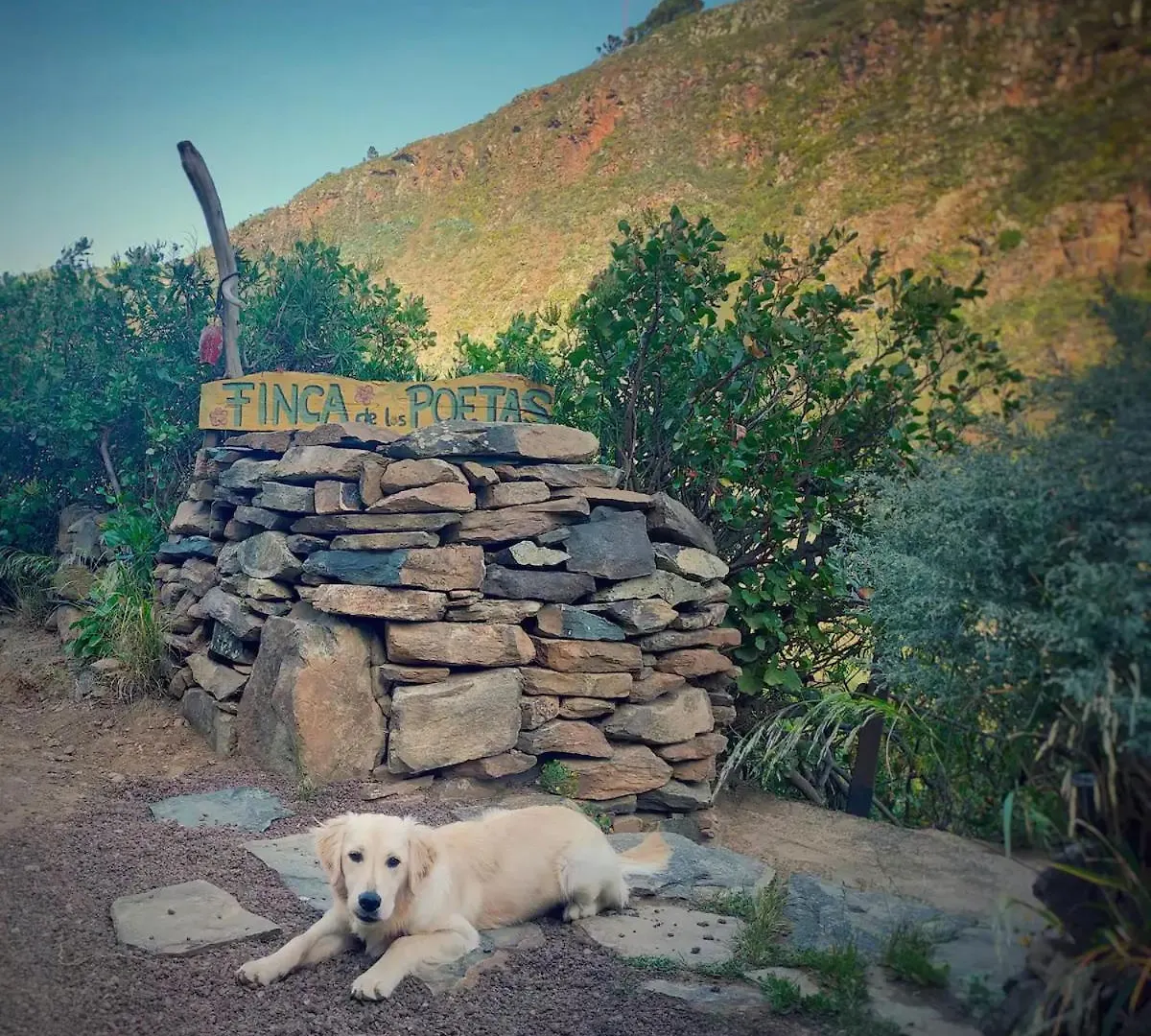 Finca De Los Poetas Santa María de Guía de Gran Canaria